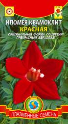 Ипомея квамоклит Красная ПЛ