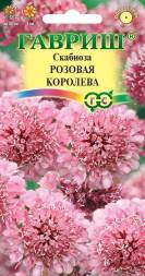 Скабиоза Розовая королева (Гавриш)
