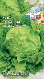 Салат Обхрустишься кочанный (СеДеК)