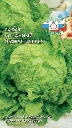 Салат Обхрустишься кочанный (СеДеК)