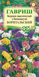Лимониум (статица) Борнтальский выемчатый смесь (Гавриш)