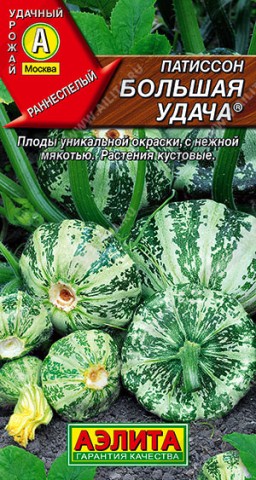 Патиссон Большая удача (Аэлита) Патиссон Большая удача (Аэлита)