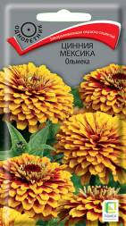 Цинния Мексика Ольмека (Поиск)