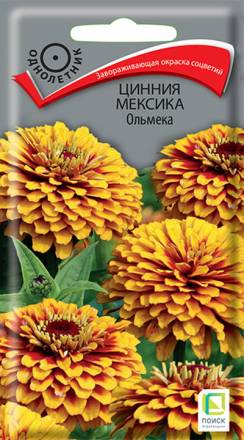 Цинния Мексика Ольмека (Поиск)