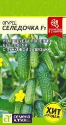 Огурец Селедочка F1 (Семена Алтая)