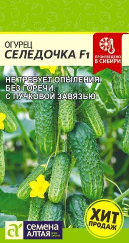 Огурец Селедочка F1 (Семена Алтая) Огурец Селедочка F1 (Семена Алтая)