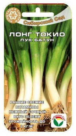 Лук батун Лонг Токио (Сиб Сад)