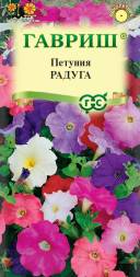 Петуния Радуга смесь (Гавриш)