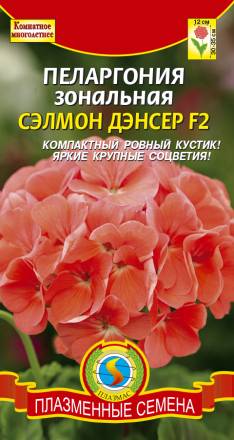 Пеларгония зональная Сэлмон Дэнсер F2 ПЛ