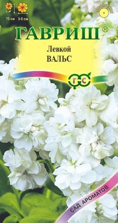 Левкой Вальс (Гавриш)