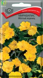 Мирабилис Желтый леденец (Поиск)