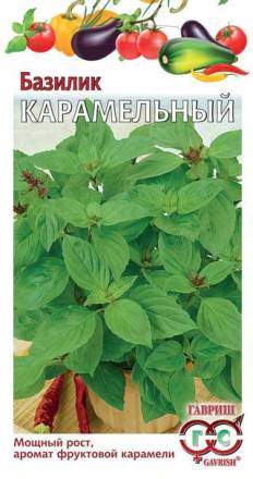Базилик Карамельный (Гавриш)