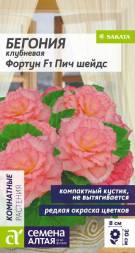 Бегония Фортун Пич шейдс (Семена Алтая)