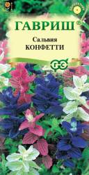Сальвия Конфетти (Гавриш)