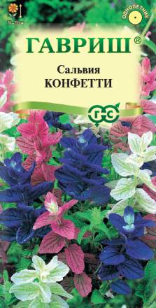 Сальвия Конфетти (Гавриш)