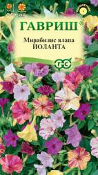Мирабилис Иоланта (Гавриш)
