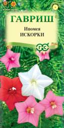 Ипомея Искорки (Гавриш)
