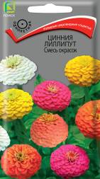 Цинния Лилипут Смесь окрасок (Поиск)