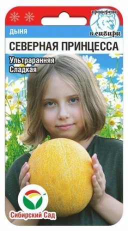 Дыня Северная принцесса (Сиб сад) Дыня Северная принцесса (Сиб сад)