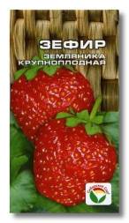 Клубника Зефир (Сиб сад)