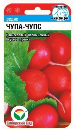 Редис Чупа-Чупс (Сиб сад) Редис Чупа-Чупс (Сиб сад)