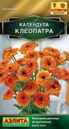 Календула Клеопатра (Аэлита)
