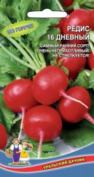 Редис 16 дневный УД