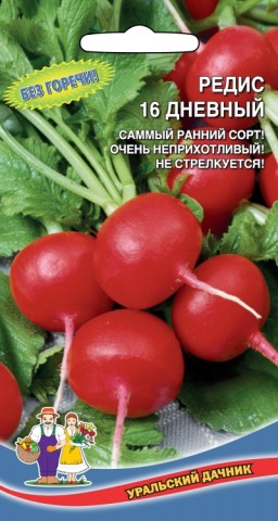Редис 16 дневный УД Редис 16 дневный УД