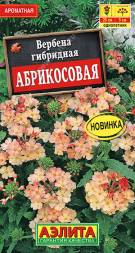 Вербена Абрикосовая (Аэлита)