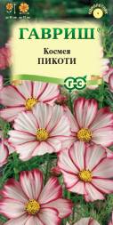 Космея Пикоти (Гавриш)