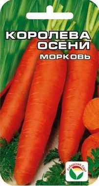 Морковь Королева осени (Сиб сад) Морковь Королева осени (Сиб сад)