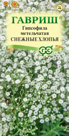 Гипсофила Снежные хлопья метельчатая (Гавриш)