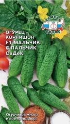 Огурец Мальчикс пальчик F1 корнишон (СеДеК)