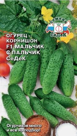 Огурец Мальчикс пальчик F1 корнишон (СеДеК)
