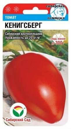 Томат Кенигсберг (Сиб сад)
