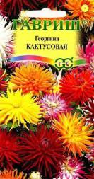 Георгина Кактусовидная смесь (Гавриш)