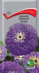 Цинния Изящная Лавендер (Поиск)