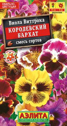 Виола Королевский бархат (Аэлита)