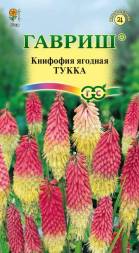 Книфофия Тукка (Гавриш)