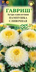 Астра Пампушка сливочая (Гавриш)